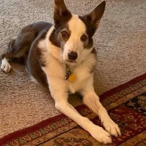 Meet your Posher, Terry